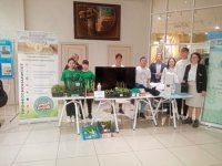 IMG_20240412_095450