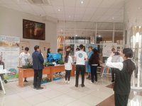 IMG_20240412_124803